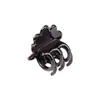 Zhuo Ming Clásico Japonés y Coreano Café Negro Pinza Pequeña Unisex Colección Pinza Superior Pequeña Pinza para Flequillo Fabricante Transfronterizo Venta al por Mayor