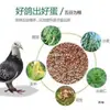 Huevos de Paloma de Regalo, Frescos de Calidad Premium, Envío Gratis, Granos Enteros, La Elección Preferida del Bebé, Productos de Granja de Corral