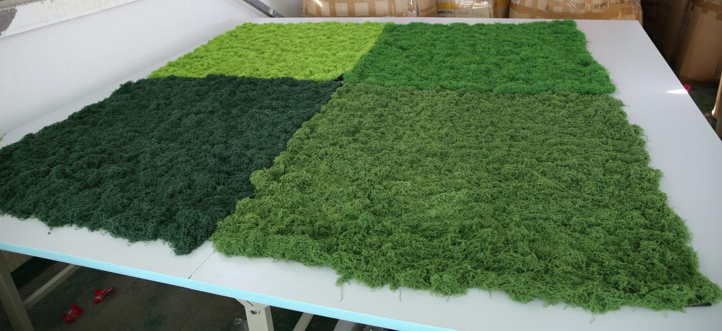 751A2434 - 开心看图王_副本