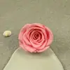 Flor Eterna Grado A 5-6cm Rosa No Marchitable Material de Flores DIY Floristería Ramo Flor Seca Material para Ins