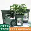 Maceta Universal de Segunda Generación tipo Flor de Galón Estilo Europeo Ecológica de Resina PP Maceta Grande para Flores y Plantas Verdes Maceta de Plástico Ampliada y Engrosada