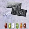 Placa de Estampado para Uñas Transfronteriza Set de Sellos Transferencia de Uñas Salón de Uñas Mismo Estilo Fabricante de Impresión por Transferencia Mayoreo