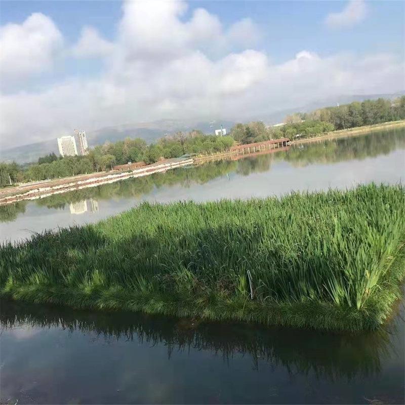 微信图片_20211227095833_副本