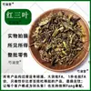 Trébol Rojo Medicina Tradicional China Trébol Rojo Auténtico Trébol Rojo Alfalfa Artículo Frío Paquete Integral Envío Gratis