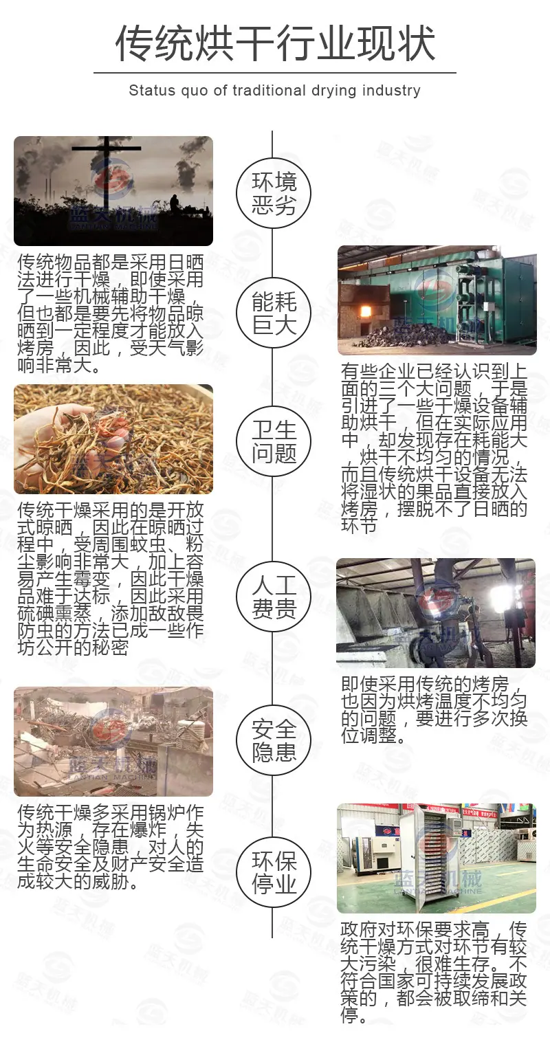 砂仁(20盘)_17.jpg