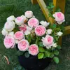 Hacker Queen Jugo Rosa Maceta Balcón Patio Villa Flor Planta Cuatro Estaciones Dropshipping