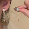 Recoge Estrellas ~ aretes coloridos de borla larga Nuevos aretes populares 2023 aretes de temperamento y2g de alta gama para mujer