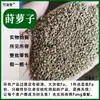 Semillas de eneldo, Materiales Medicinales Chinos al por Mayor, Semillas de eneldo, Semillas de eneldo, Especias y Condimentos No Son Mil Millas y Semillas de Cilantro