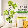 Forma de Hoja de Flor Árbol de Caucho Baniano Dorado Sala de Estar Planta Verde Baniano Rico Interior Oficina Planta Verde Planta Grande en Maceta