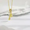 Novo Colar Vintage Estilo Chinês Cabacinha Escovada para Mulheres, Estilo Ins, Simples e Versátil, Corrente de Clavícula Elegante de Nicho de Alta Qualidade