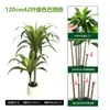 Árvore Artificial Madeira Brasileira Planta em Vaso Planta Artificial Verde Ipê Roxo Árvore Artificial de Chão Bonsai Árvore Artificial de Sangue de Dragão de Alta Qualidade Árvore de Ipê Vermelho
