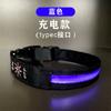 Cuero Reflectante LED Impermeable IPX7 Carga Tipo C Mascota Collar Luminoso Cuadros Collar para Perro Collar Eléctrico para Perro Noche
