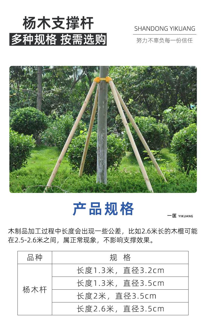 绿化支撑杆