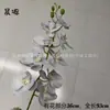 9 7 Filme 3D Orquídea Phalaenopsis Francesa Casamento Decoração de Casa Flor Artificial Flor de Simulação Hotel Flor Conjunto de Casamento