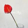 Sensação de Mão Simulada Cor Palma Úmida Antúrio Mão Fogo Grou Palma Arranjo de Flores Acessórios Flor de Palma de Mão Flor Artificial Decoração de Casamento Flor
