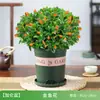 Flor de Peixe Dourado Planta-Aranha Planta Suspensa Vaso Interno Flor de Quatro Estações Planta de Interior Sala de Estar Varanda Fácil de Cuidar Plantas Verdes