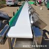[Venta al por mayor de fábrica] Máquina clasificadora de pescado carpa calamar máquina clasificadora