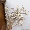 Pinhas Secas Naturais Materiais de Decoração para Árvore de Natal Fotografia de Bolos e Sobremesas Adereços para Fotografia de Buquês Florais Baoshi