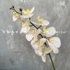 Impresión 3D 9 cabezas Phalaenopsis Decoración de mesa nórdica Boda floral Película Phalaenopsis Flor artificial de alta calidad azul púrpura