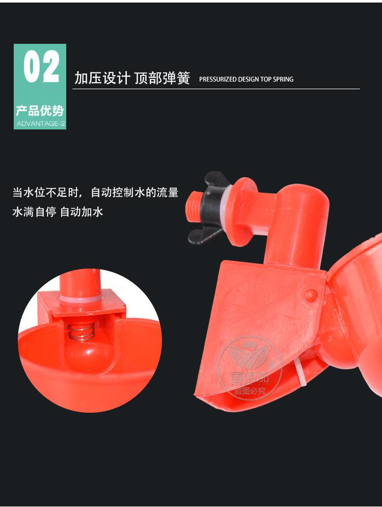 鸡用饮水碗D详情页(4).jpg