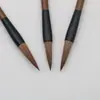 Wengang Langhao e Caligrafia e Pintura com Pincel Estudantes Praticam Caligrafia e Pintura Pincel