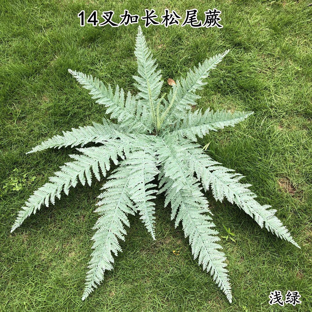 微信图片_20210630130433_副本.jpg