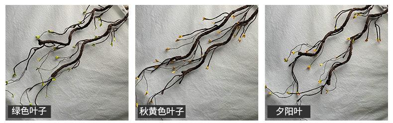 产品颜色.jpg