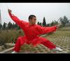 Roupa de Tai Chi Masculina e Feminina Roupa de Prática Artes Marciais Grupo Adulto Roupa de Treino para Apresentação Primavera e Outono Terno Roupa de Apresentação de Tai Chi