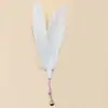Venta al por mayor del fabricante Ventosa Alambre de acero Pluma Palo para provocar gatos Juguete interactivo para gatos para aliviar el aburrimiento Caña extendida para provocar gatos Suministros para gatos
