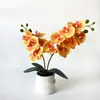 Planta de orquídea Phalaenopsis artificial de 2 ramas y 12 flores en maceta con textura realista, planta verde de flor artificial bonsái para decoración de hotel y boda, maceta pequeña