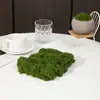 Musgo Artificial Filamentoso de Simulación de Gama Alta Planta Verde Artificial de Simulación Planta en Maceta Micro Paisaje Boda Decoración de Paisajismo Exterior Césped