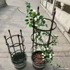 Jardinagem videira pitaya rosa jiboia treliça de escalada tubo de aço revestido de plástico pilar de suporte de flores suporte de planta em vaso rosa