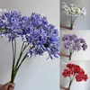 Flor Artificial de Caliobsis de 7 Ramas y Tallo Largo para Decoración del Hogar, Accesorios para Fotos, Ramilletes de Mesa de Boda y Arreglo de Escenas