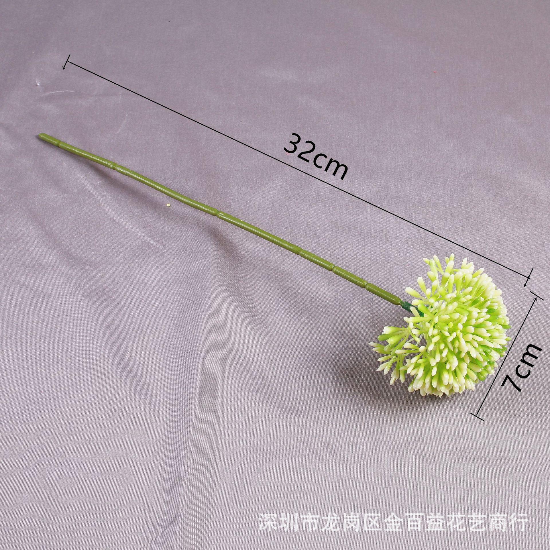 IMG_8571_副本.jpg