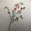 Simulação considerável estilo europeu de frutas silvestres pequenas, frutas ricas, pequena maçã decorativa, galhos de frutas rosa estilo country americano, lichia, damasco, frutas
