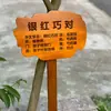 Etiquetas para Plantas de Jardín de Madera Maciza, Señales de Suelo de Madera, Señales Indicadoras para Exteriores, Señales de Aviso para Huertos Escolares de Jardín de Infancia