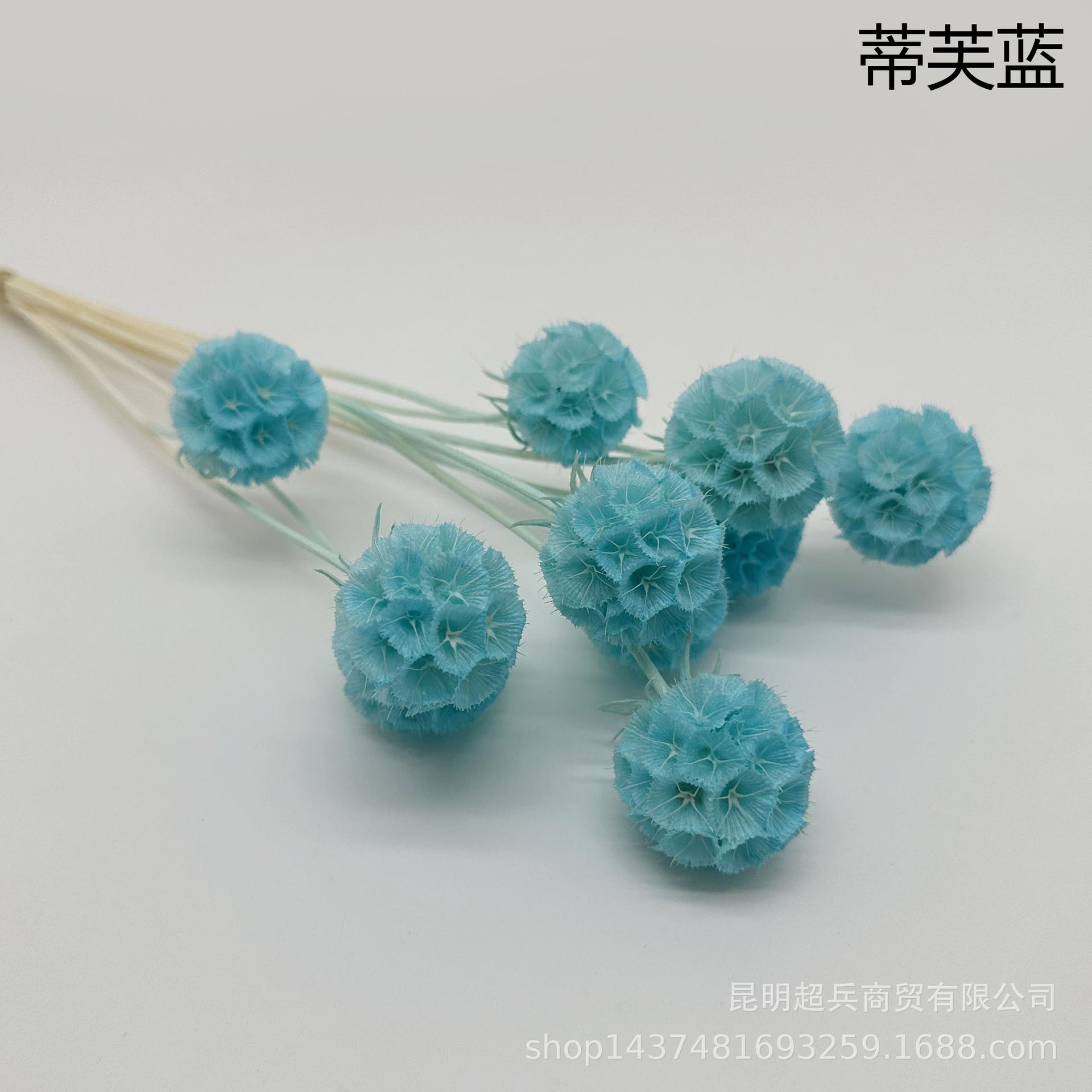 8蒂芙蓝.jpg