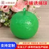 Trampa para moscas de la fruta amarilla, plaga amarga, árbol frutal, insecto pegajoso, trampa para moscas pegajosa, agrícola, cítricos, naranja