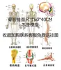 45170cm Modelo de Esqueleto Humano para Enseñanza de Arte y Yoga, Esqueleto para Principiantes con Columna Vertebral Completamente Móvil y Desmontable