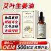 Óleo Essencial de Massagem Aquecedora de Artemísia e Gengibre de Marca OEM para Terapia Meridianal de Corpo Inteiro, Gua Sha e Massagem, Óleo Essencial de Planta Herbal