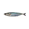 Señuelo Blando para Pesca Transfronteriza Impreso en 3D 15cm 34g Sin Plomo Simulación de Pesca Invertida Señuelo para Peces de Mar para Pesca