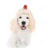 Nueva peluca para mascotas gato y perro universal oro claro flequillo ordenado diadema de onda grande fiesta navideña universal cabello largo rizado