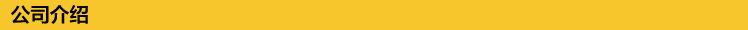 公司介绍