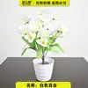 A Beleza Que Nunca Desbota: Flores Artificiais Que Florescem Tão Brilhantes Quanto o Sol, Adicionando Calor e Alegria Infinitas à Vida