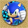 Comércio Exterior da Amazon fornece sonic the hedgehog sonic boy emblema sonic presente presente criativo bolsa de presente broche 3