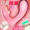 Sexo Transfronterizo en el Cuerpo, Control Remoto para Uso al Aire Libre, Rebote de Vibración Fuerte, Juguete para el Orgasmo Femenino, Juguete Sexual para Adultos
