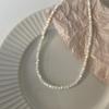 Colar de Corrente Clavicular Empilhada Estilo K Ins Estilo Cool Versátil Selecionado Cuidadosamente Retro Elegante Madrepérola Branca Luar Colar de Miçangas X31