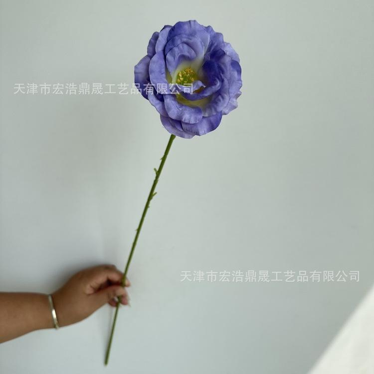 微信图片_20230901152820_副本
