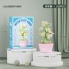 Compatível com Blocos Lego Flor Flor Eterna Suculenta Vaso Planta Ornamentos Série Flor Brinquedos Montados para Crianças Presente para Meninas