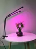 Luz de Planta X-Clip Amazon Transfronteiriça Luz de Crescimento de Planta de Quatro Cabeças Temporizador Ajustável USB Luz de Crescimento de Espectro Total